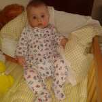 gosiek2012