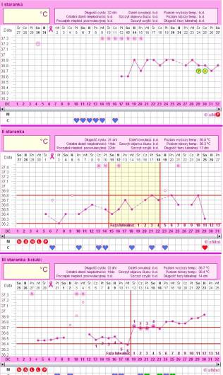 Test    24.01.2011