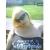 selinka